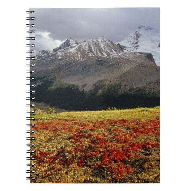 Bearberry in early autumn Athabasca Peak in the Notebook (Front)