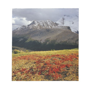Bearberry in early autumn Athabasca Peak in the Notepad