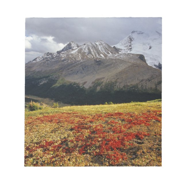Bearberry in early autumn Athabasca Peak in the Notepad (Front)