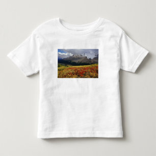 Bearberry in early autumn Athabasca Peak in the Toddler T-Shirt