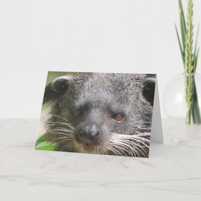 Bearcat Greeting Card (Front)