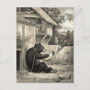 Beard - Bear, Dog and Donkey Postcard