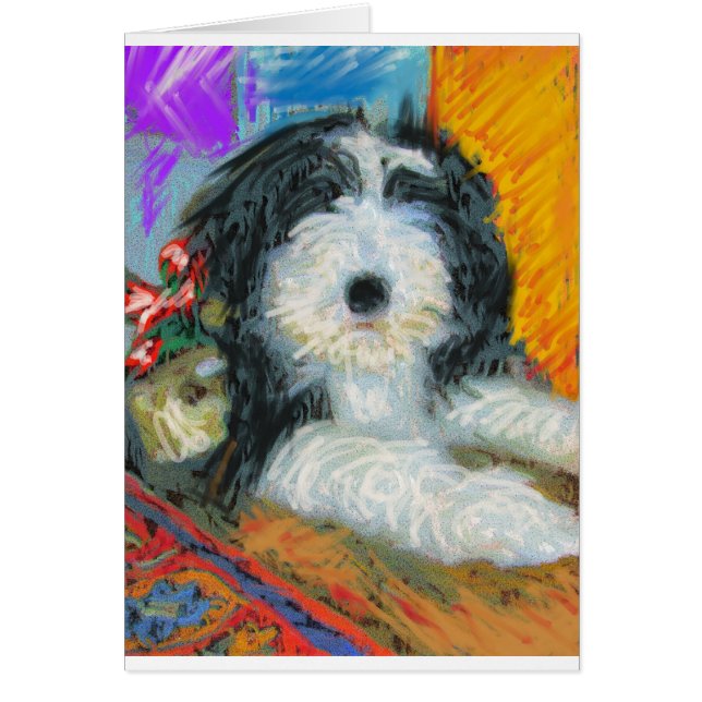 Bearded Collie (Front)