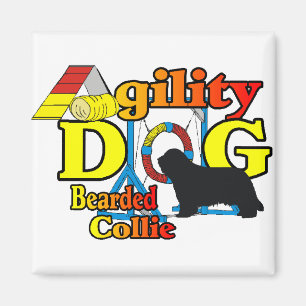 Bearded Collie Agility Gifts Magnet