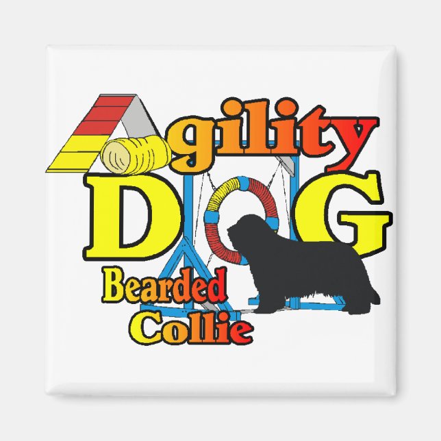 Bearded Collie Agility Gifts Magnet (Front)