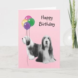 Bearded Collie, Birthday Balloons Card