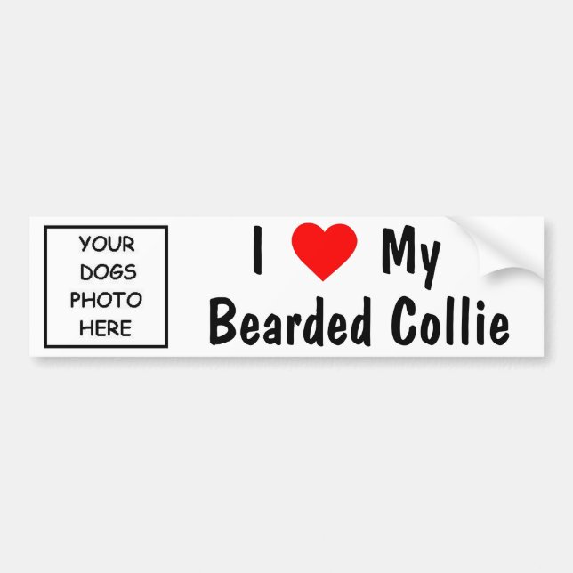 Bearded Collie Bumper Sticker (Front)
