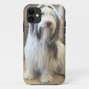 Bearded Collie iPhone 11 Case