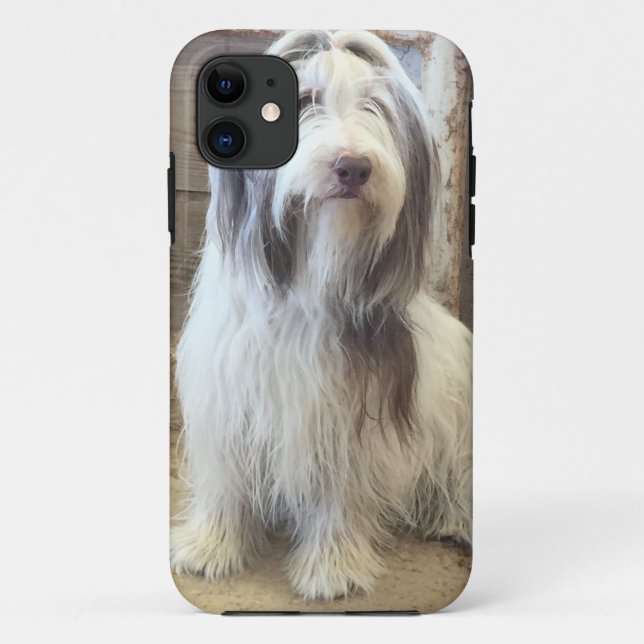 Bearded Collie Case-Mate iPhone Case (Back)