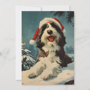 Bearded Collie Christmas  Holiday Card