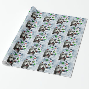 Bearded Collie Christmas Wrapping Paper