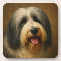 Bearded Collie