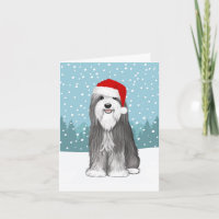 Bearded Collie Cute Dog Christmas Custom
