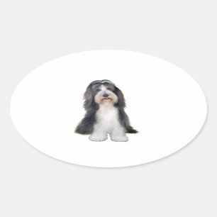 Bearded Collie (D) - Slate and white Oval Sticker