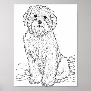Bearded Collie Dog Adult Colouring Poster