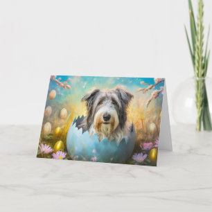 Bearded Collie dog Folded Holiday Card