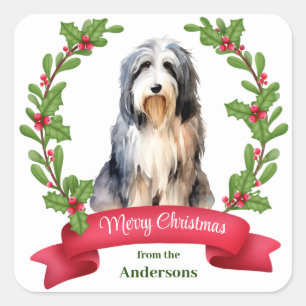Bearded Collie Dog Holly Banner Christmas Square Sticker