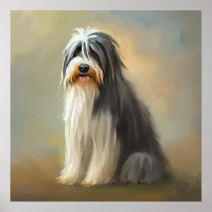 Bearded Collie Dog  Poster