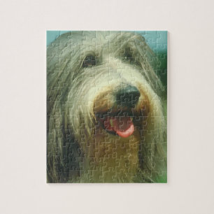 Bearded Collie Dog Puzzle