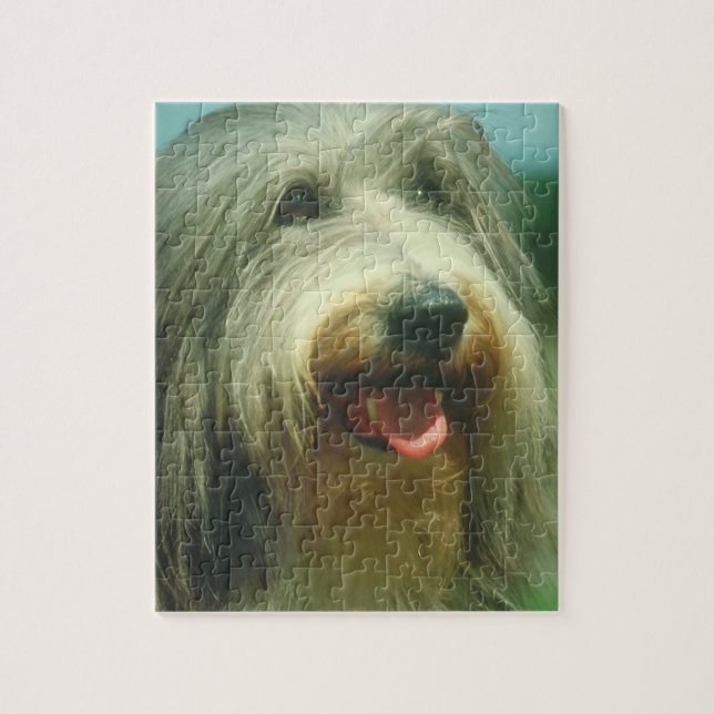 Bearded Collie Dog Puzzle (Vertical)