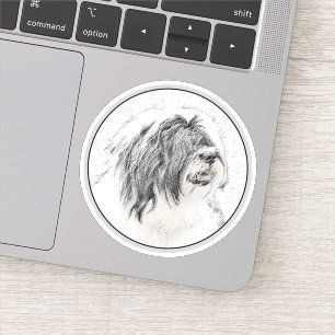 Bearded Collie Drawing - Cute Original Dog Art