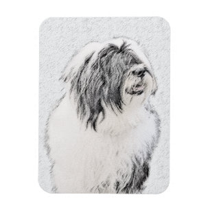 Bearded Collie Drawing - Cute Original Dog Art Magnet
