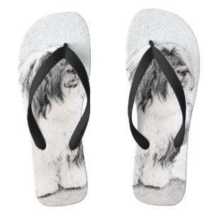 Bearded Collie Drawing - Cute Original Dog Art Thongs
