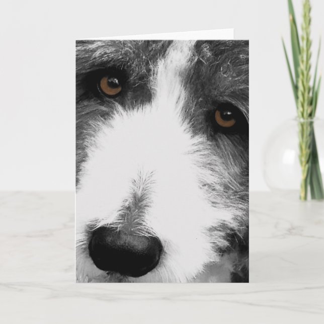 Bearded Collie Eyes Greeting Card (Front)