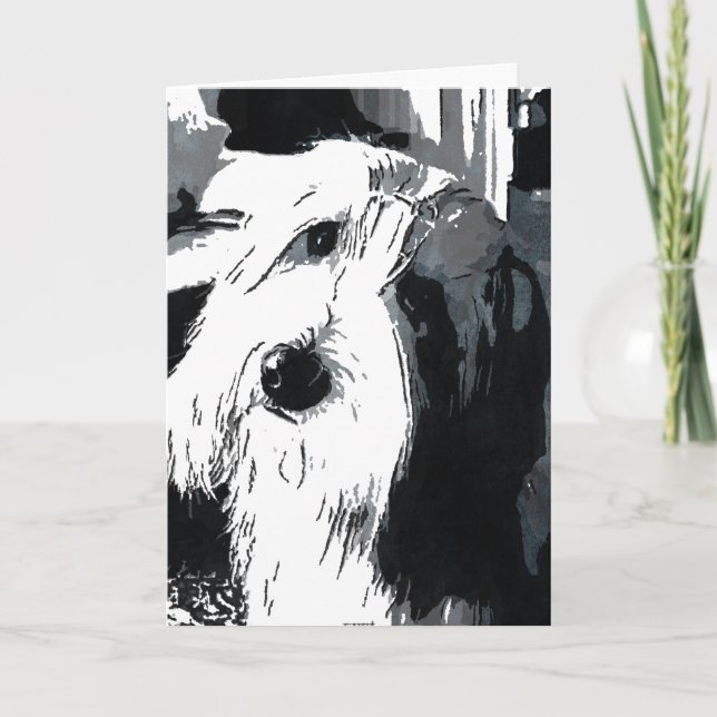 Bearded Collie Greeting Card (Front)