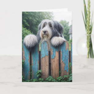 Bearded Collie Happy Birthday Card