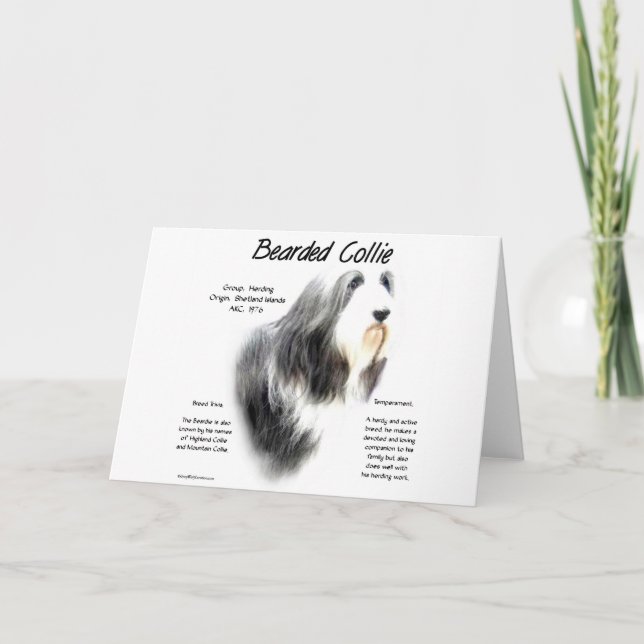 Bearded Collie History Design Holiday Card (Front)