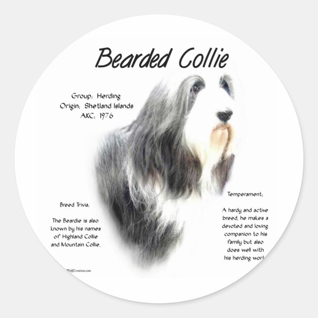 Bearded Collie History; Love Bearded Collies Classic Round Sticker (Front)