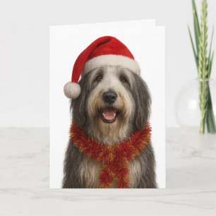 Bearded Collie in a Santa hat Christmas card