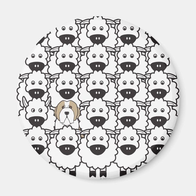 Bearded Collie in the Sheep Magnet (Front)