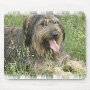 Bearded Collie Mouse Pad