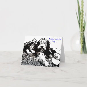 Bearded Collie Note Card
