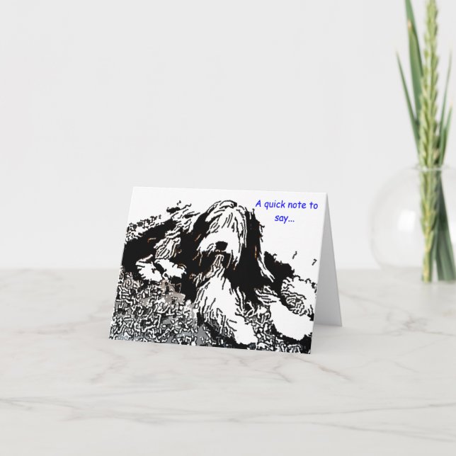 Bearded Collie Note Card (Front)