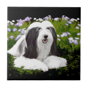 Bearded Collie Painting - Cute Original Dog Art Ceramic Tile