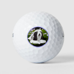 Bearded Collie Painting - Cute Original Dog Art Golf Balls