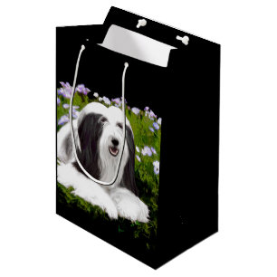 Bearded Collie Painting - Cute Original Dog Art Medium Gift Bag