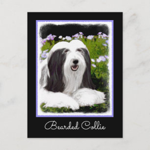 Bearded Collie Painting - Cute Original Dog Art Postcard