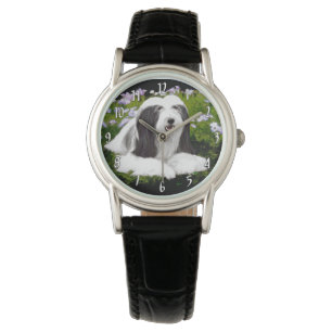 Bearded Collie Painting - Cute Original Dog Art Watch