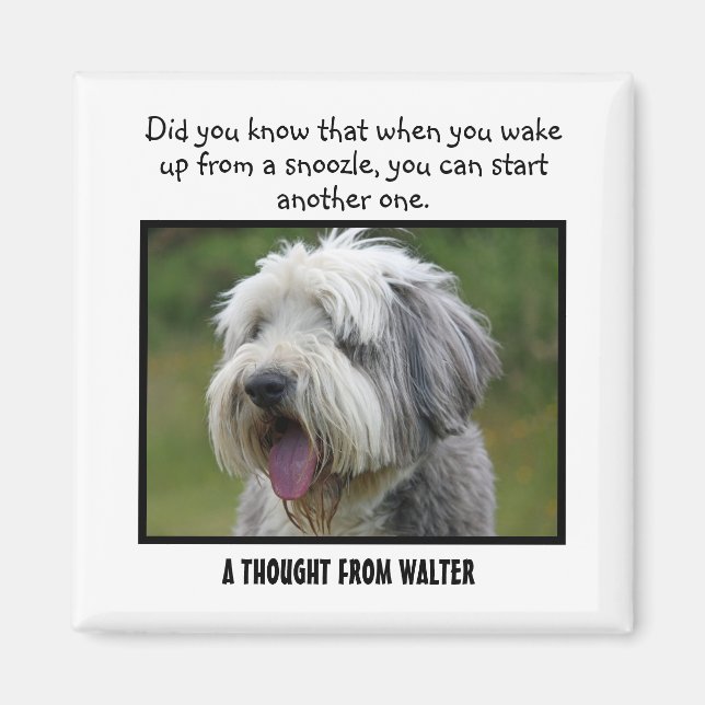 Bearded Collie Personalised Custom Magnet (Front)