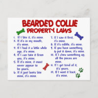 BEARDED COLLIE Property Laws 2