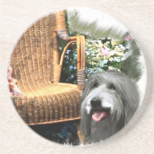 Bearded Collie Summer Garden Coaster