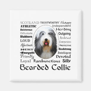 Bearded Collie T Shirt Magnet