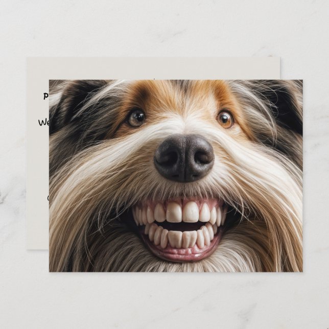 Bearded Collie Toothy Smile Postcard (Front/Back)