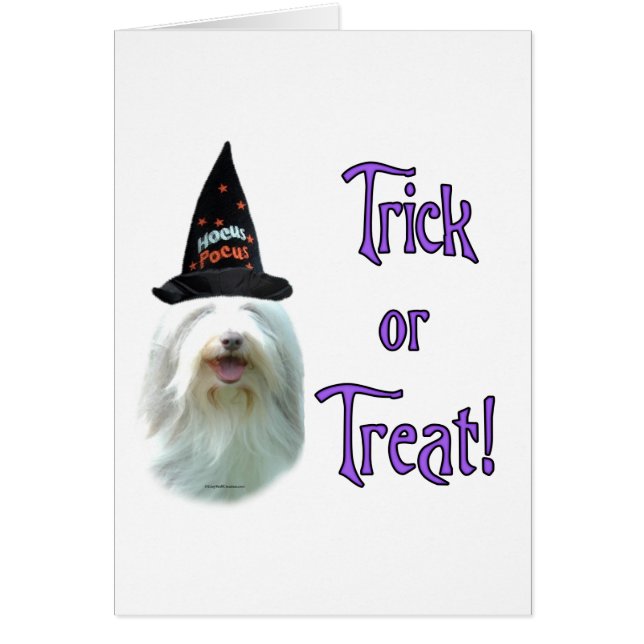 Bearded Collie Trick (Front)