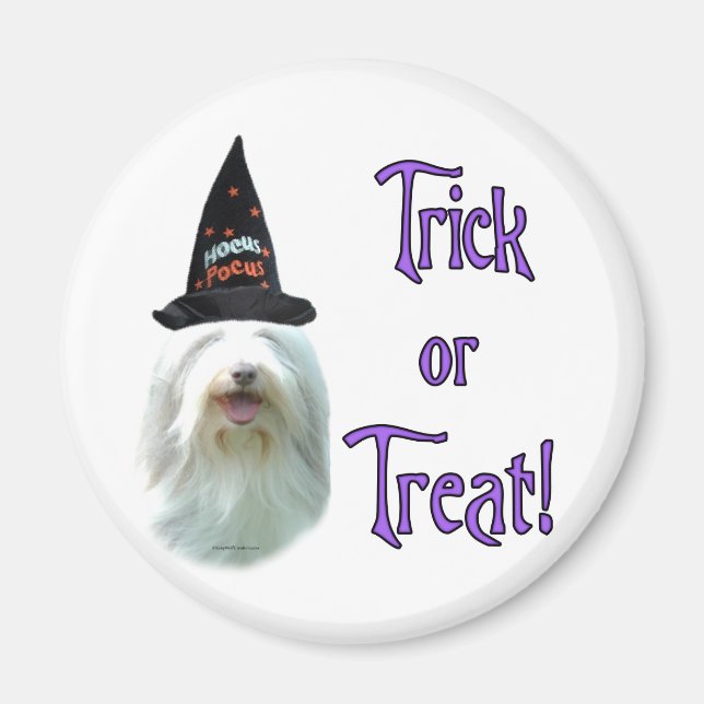 Bearded Collie Trick Magnet (Front)