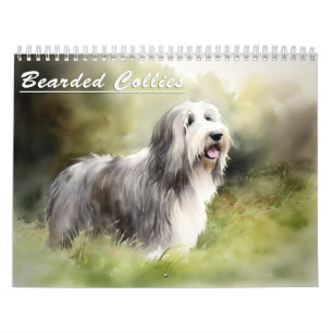 Bearded Collies Calendar, any year Calendar